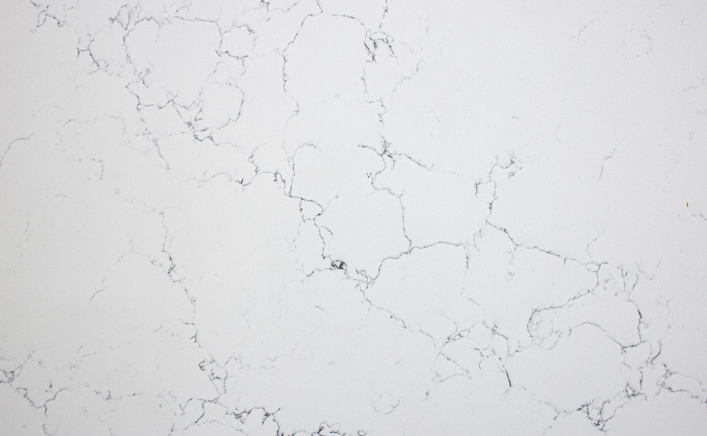 P2118 Calacatta Venato Quartz